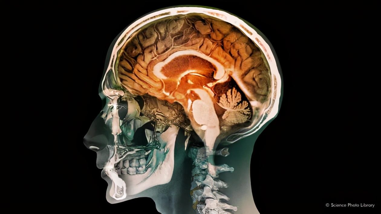 成年人口吃是什么原因造成的,产生口吃的主要原因有什么