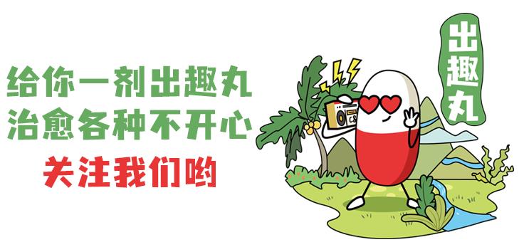 厦门旅游攻略免费,厦门旅游哪里好玩又免费攻略