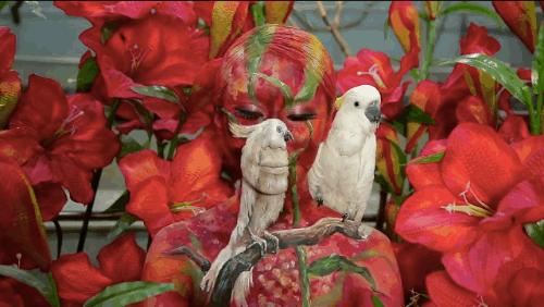 南韩姑娘脱去上衣：创“三体幻妆隐形术”，皮肤作画狂圈63万粉