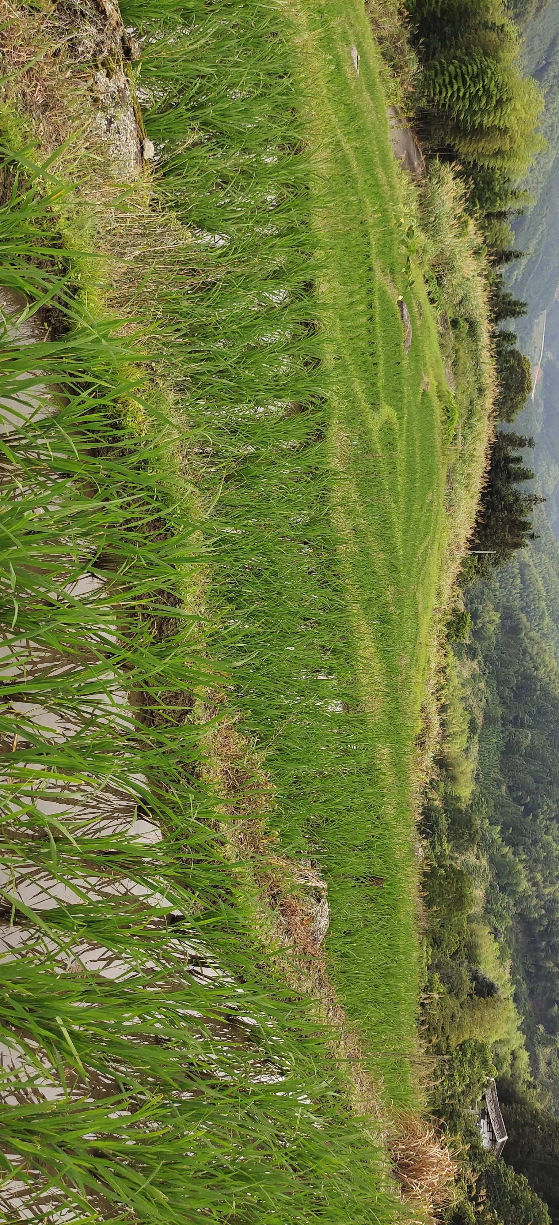 登上绝壁悬崖感受一览众山小,登上泰山之巅的感觉