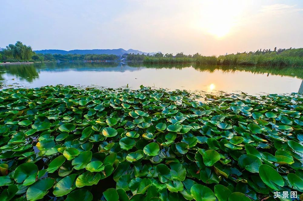 立秋时节让我们走进济南高新区彩虹湖