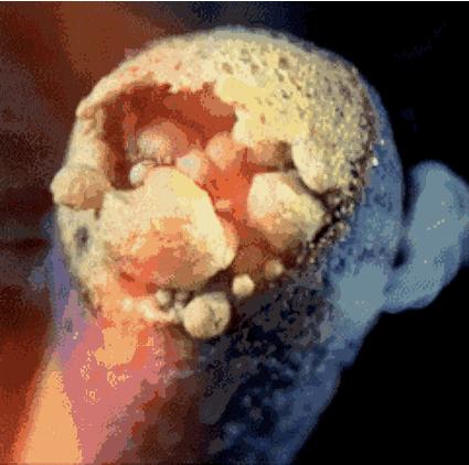 化学动态图解大全,37张化学动态图