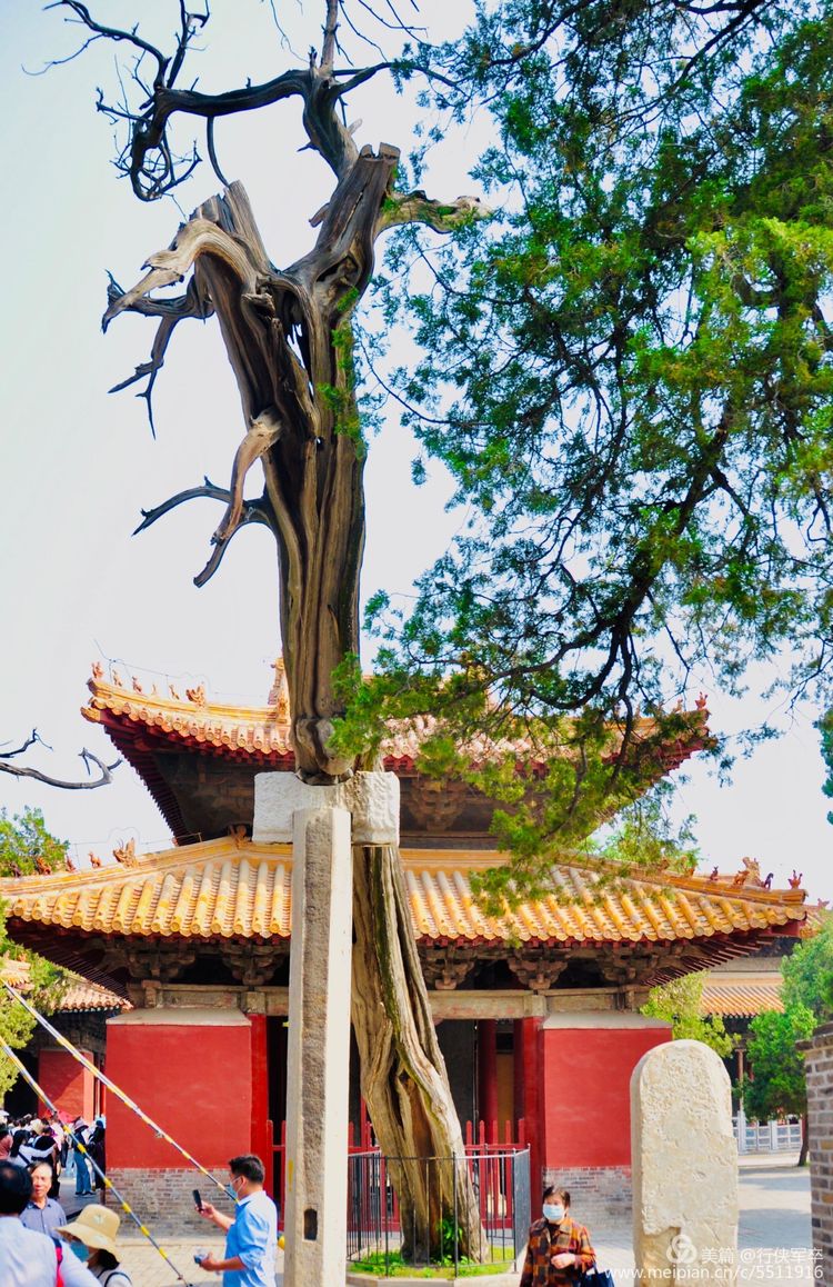 曲阜孔庙走马观花,曲阜孔庙朝圣