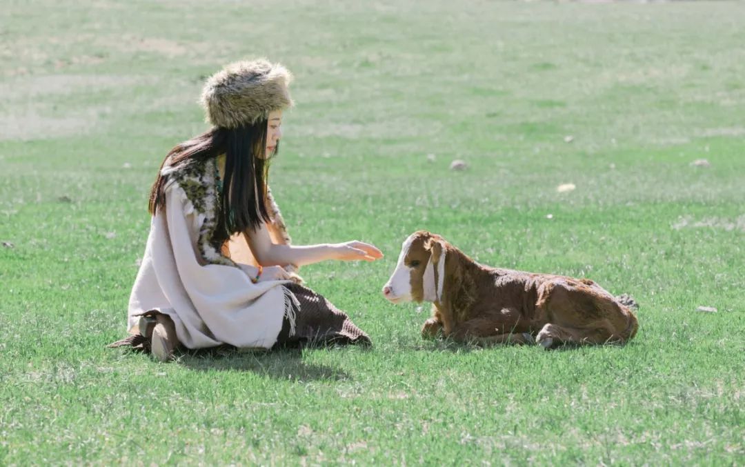 什么才是真正的旅拍？