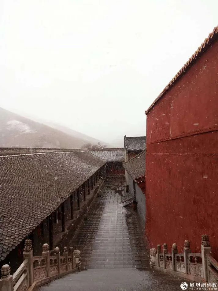 中国佛教四大名山江西龙虎山,中国佛教第四大名山