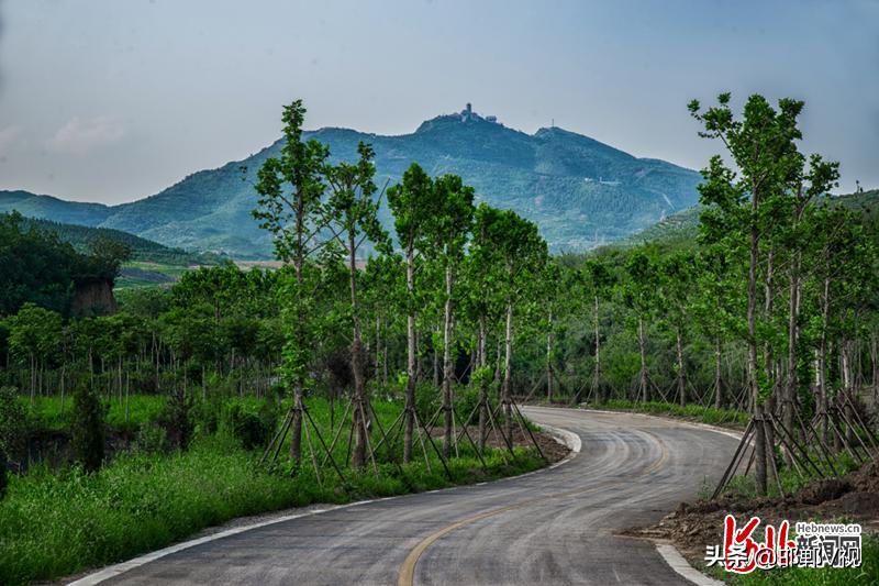 邯郸自驾游看花十大排行榜,石家庄48条春观花旅游线路