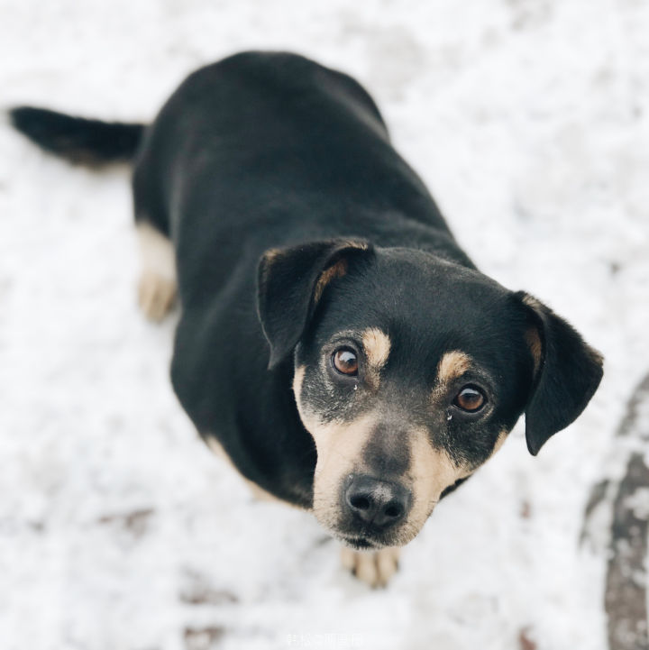 单反相机和手机摄影有什么区别,手机摄影真的能打败相机摄影吗
