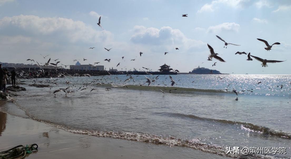 牛牪犇！滨医人寒假生活大赏，你的假期关键词是什么？