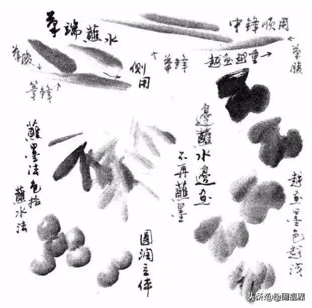 国画没有书法基础,国画没有基础最好先学哪些入手