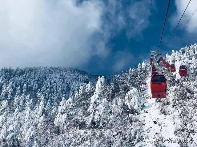 旅行必须得知道的热气球攻略,澳洲热气球上帝视角