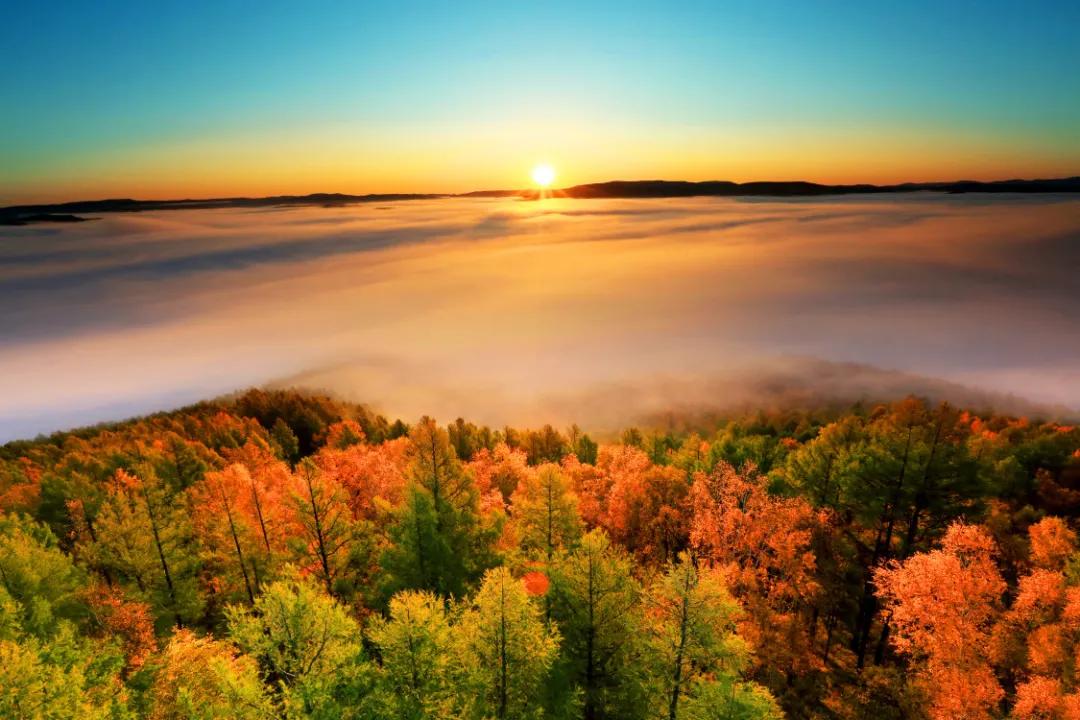 呼伦贝尔大草原天蓝草绿,呼伦贝尔蓝天白云牛羊成群