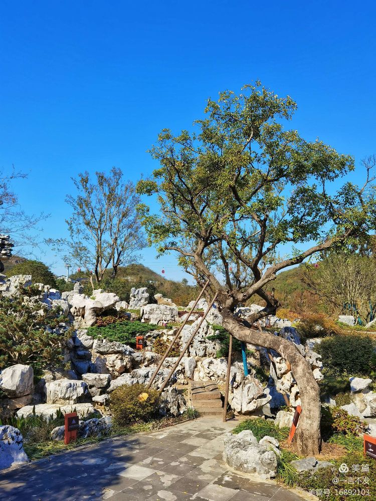 秋之旅免费完整版,秋之旅风景图片