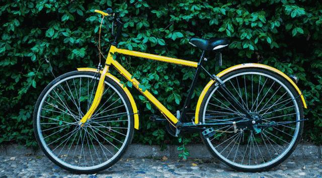 未来创业前景最好的十大项目,个人未来实体经济创业项目