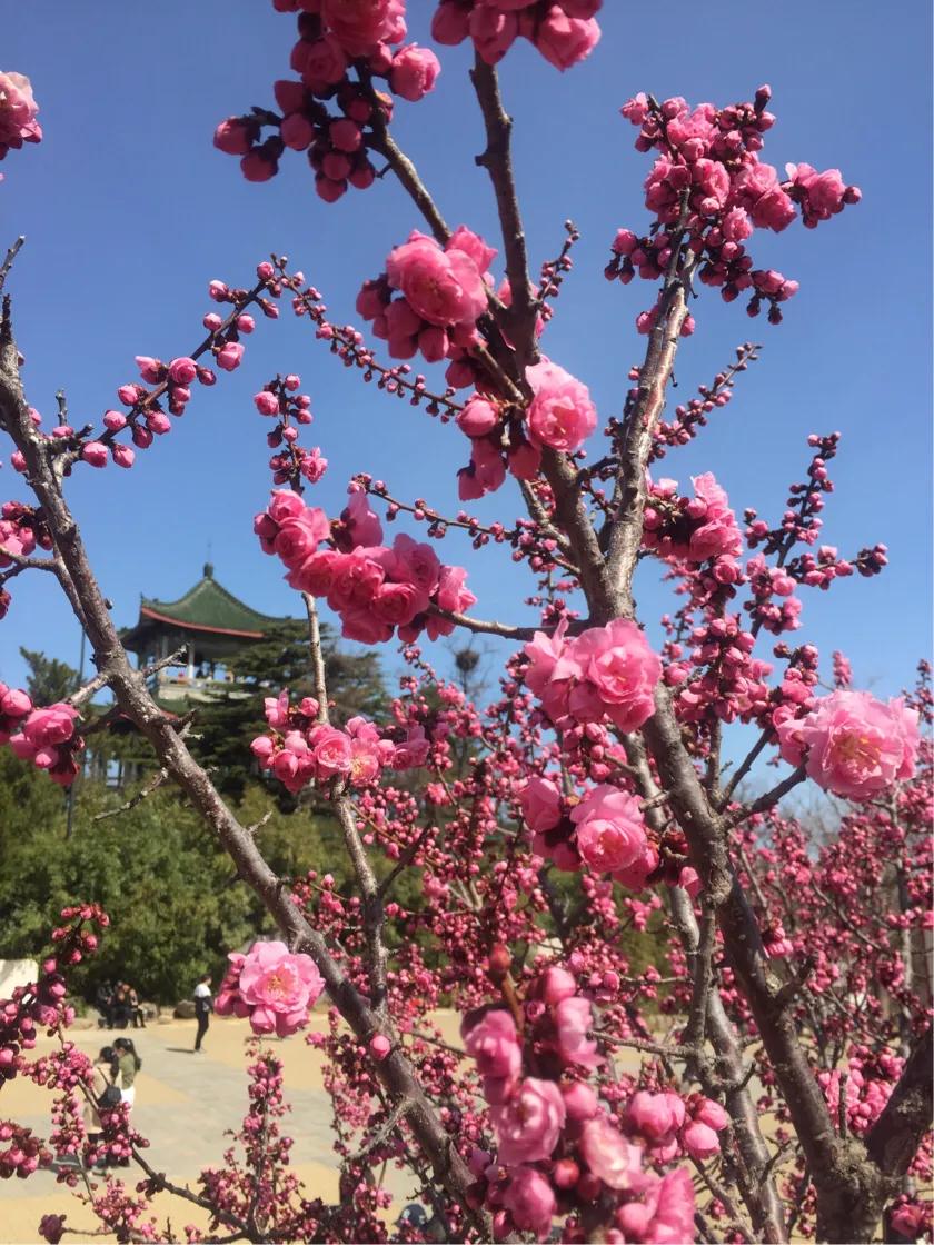 宅在家可以赚钱的方法,怎么在家用手机赚钱