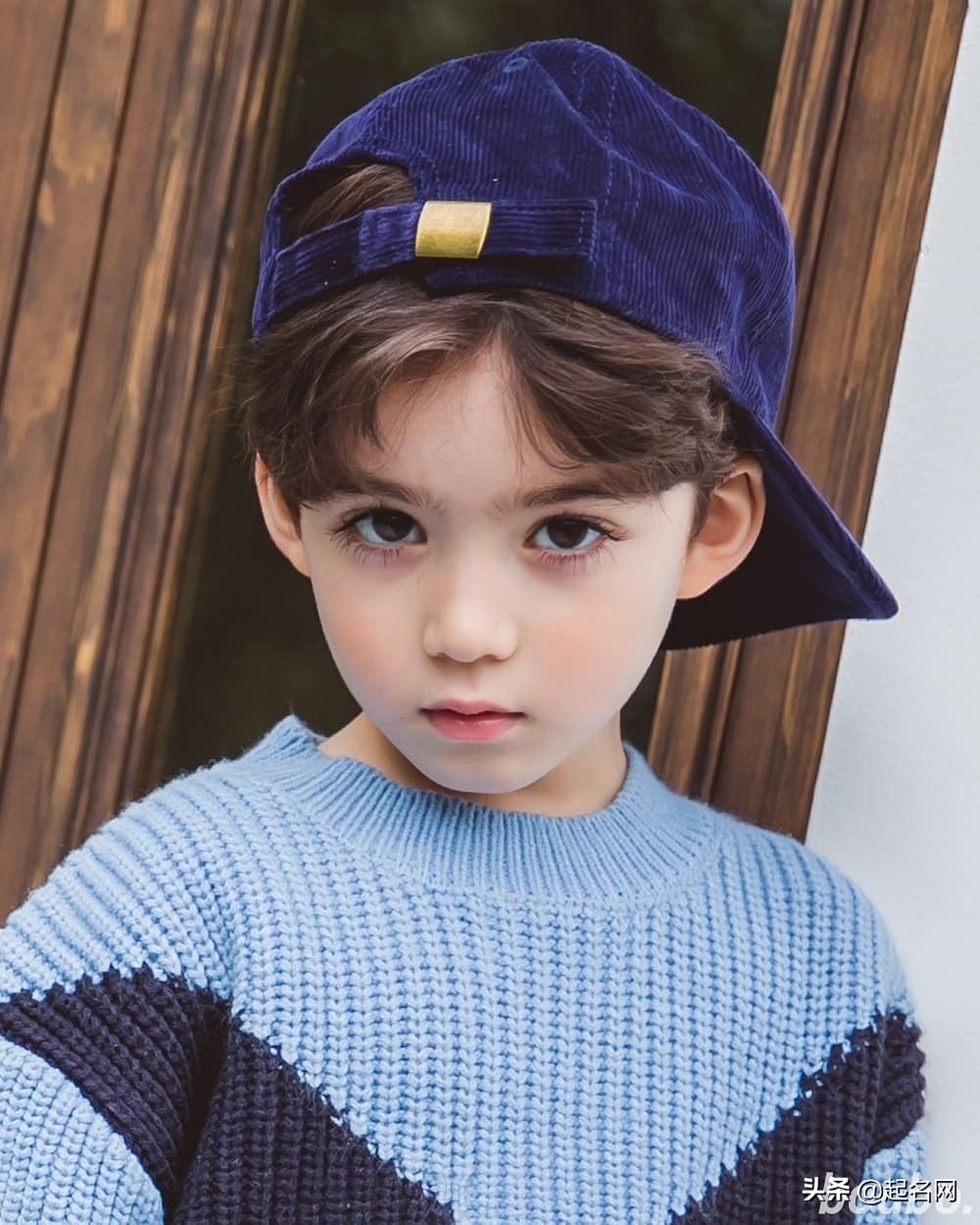 最凶猛又聪明护主的犬起名,那些治愈人的小狗