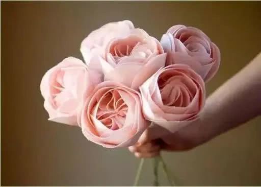 世界上十大鲜花排名图片,世界十大漂亮名贵花卉