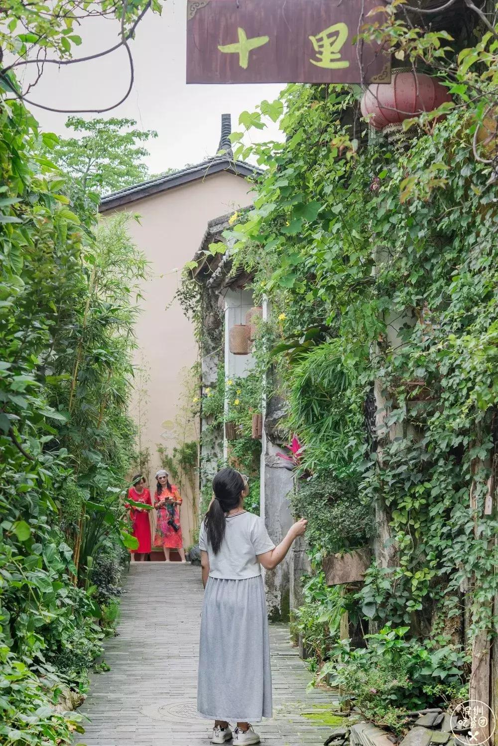 日料素食馆,日料店素食
