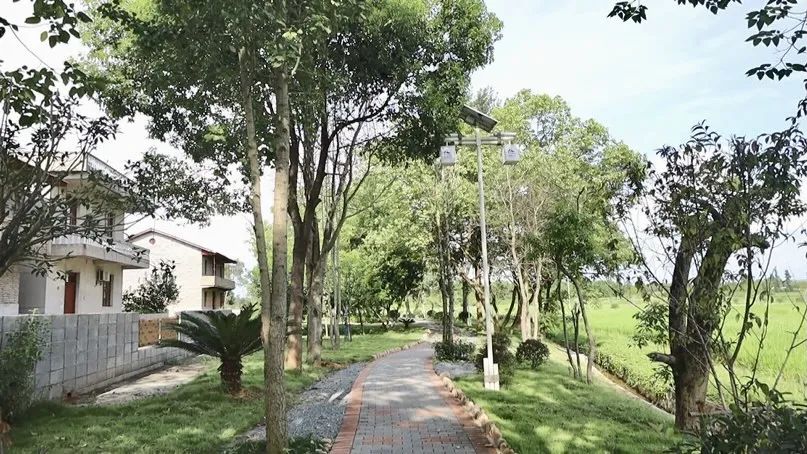 宅改基本情况,宅改项目怎么做