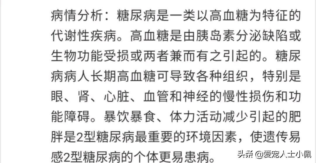 泰迪糖尿病拉稀黑便，狗大夫说快死了，我该怎么办？是细小病吗？