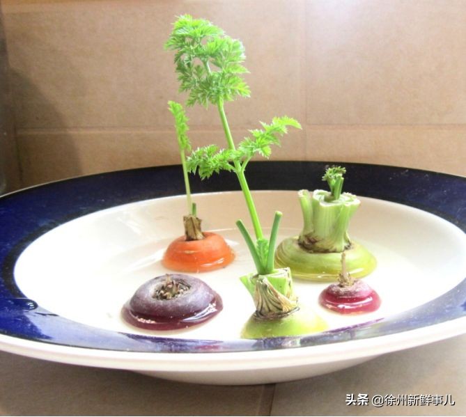 七种水果核别扔,吃完的果核别扔了它们都是宝贝