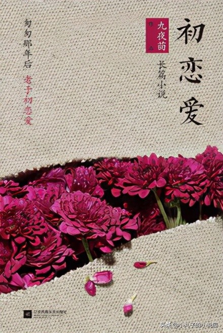 九夜茴初恋爱小说下载,九夜茴初恋爱小说简介