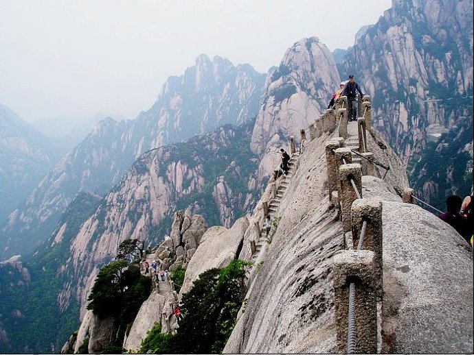 转基因玉米和非转基因玉米的区别,转基因玉米油怎么辨别