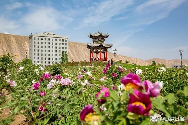 古浪老城历史,古浪县古城遗址