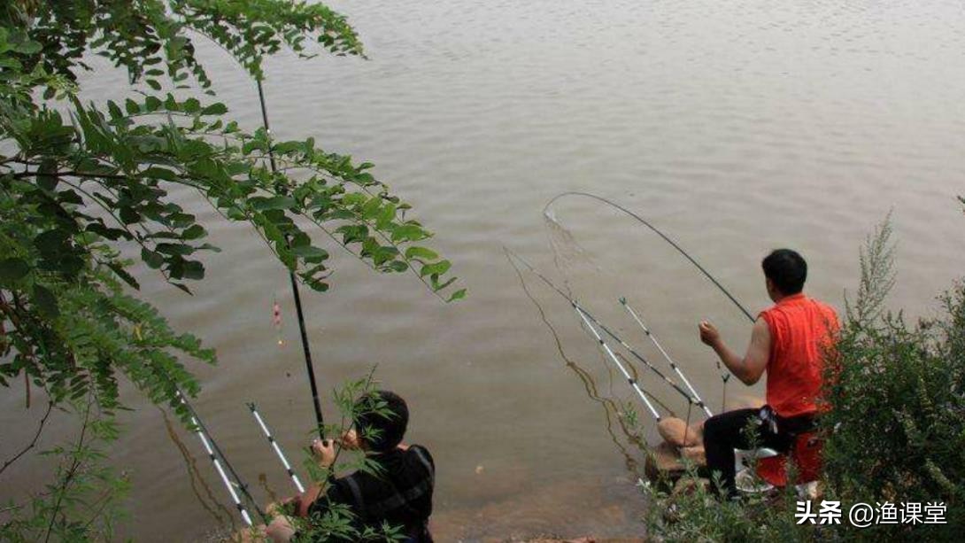 子线打结了影响钓大鱼不,野钓子线老是打结