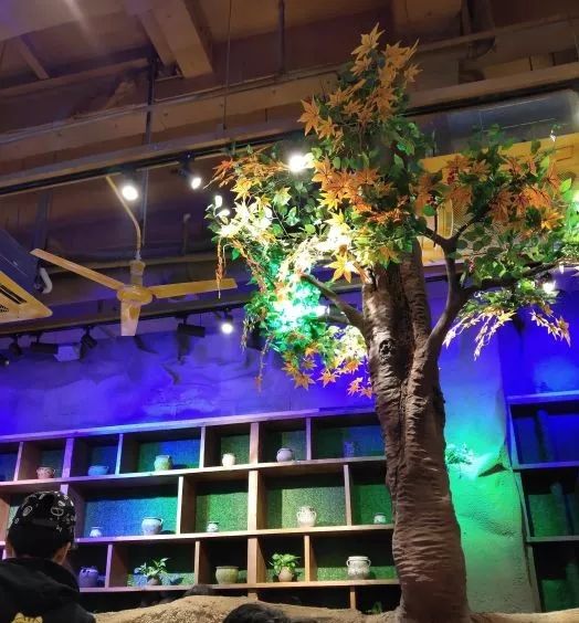 江汉路喵星鱼,招牌青花椒烤鱼湄公鱼优惠团购