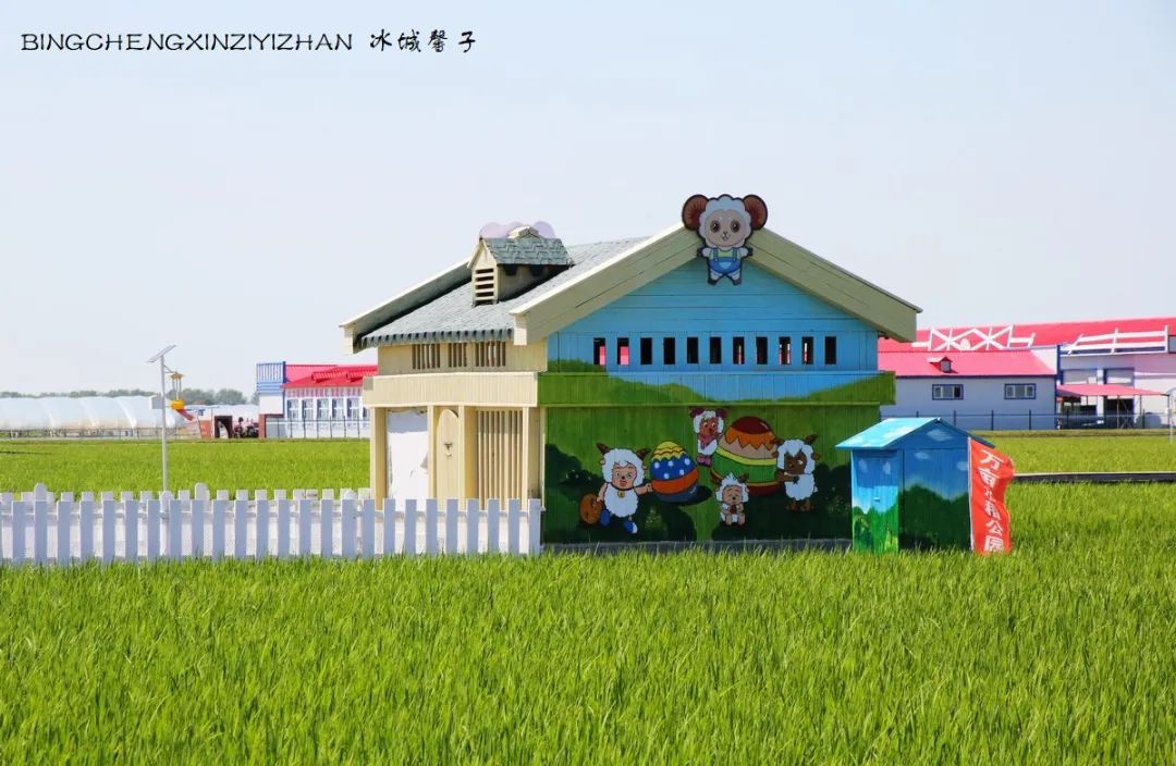 再返富锦，为着那份飘着稻花香的“湿”意约定