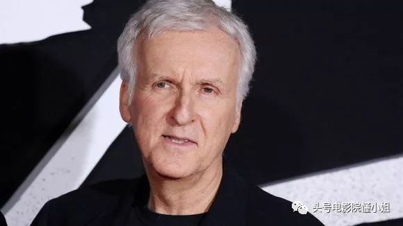 卡梅隆终结者,卡梅隆终结者归来