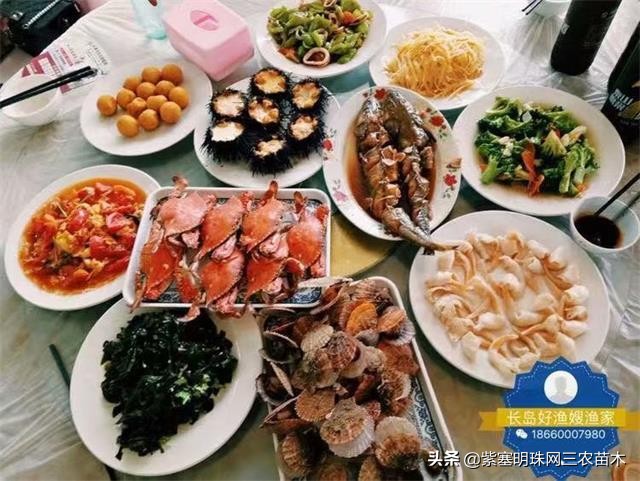 长岛值得去的渔家乐,长岛美丽的海岛