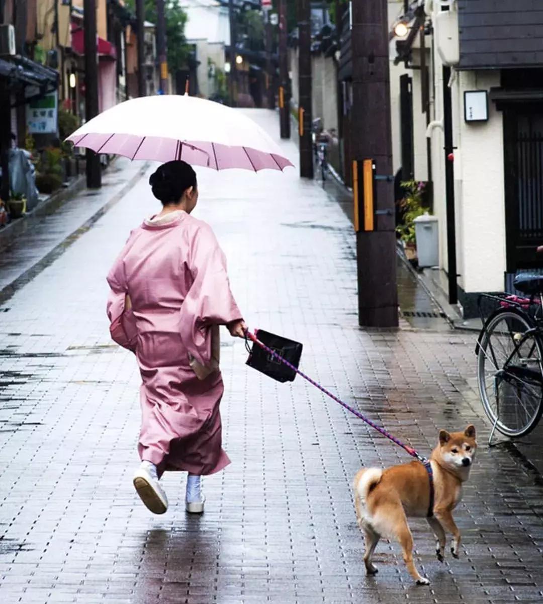 小白鞋真的永不过时,小白鞋什么时候火起来的