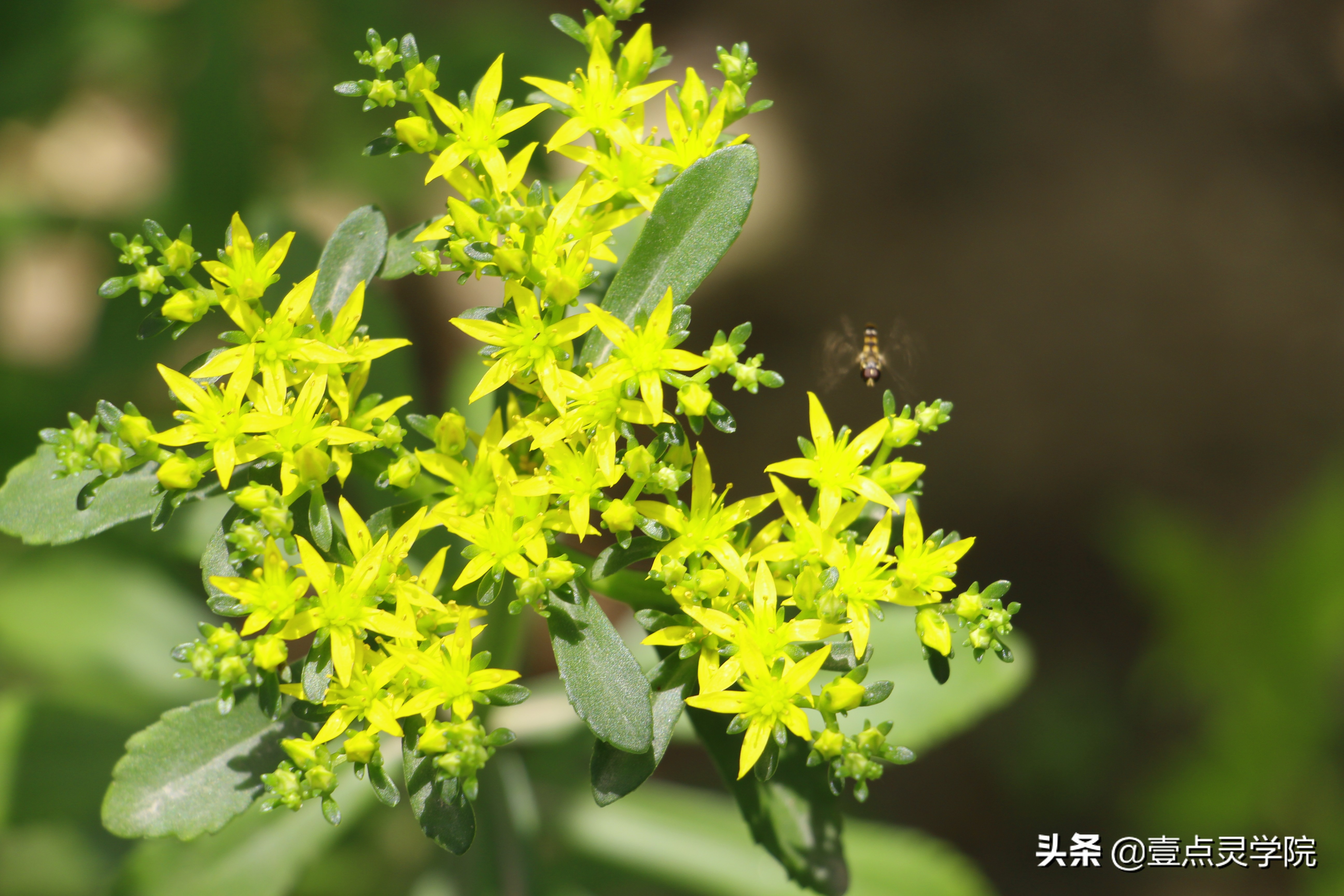 来访者为中心疗法专家戴维得·J·克恩博士对露丝的分析【一】