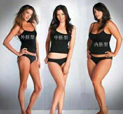 内胚型体型的人应该怎么练,中胚型怎么练
