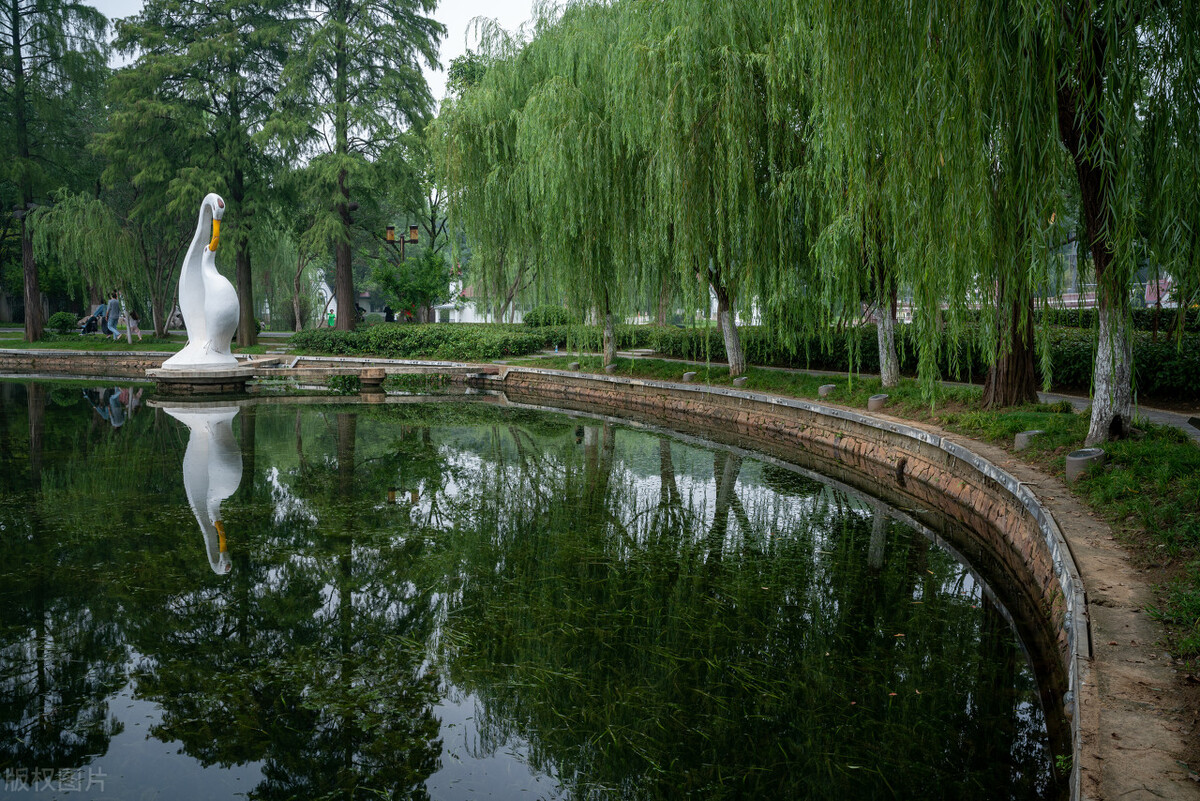 一丝杨柳千丝恨图片,一丝杨柳千丝恨