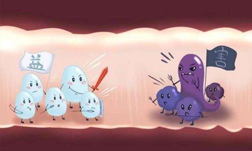 外国益生菌哪个牌子好,国外的益生菌哪个牌子好