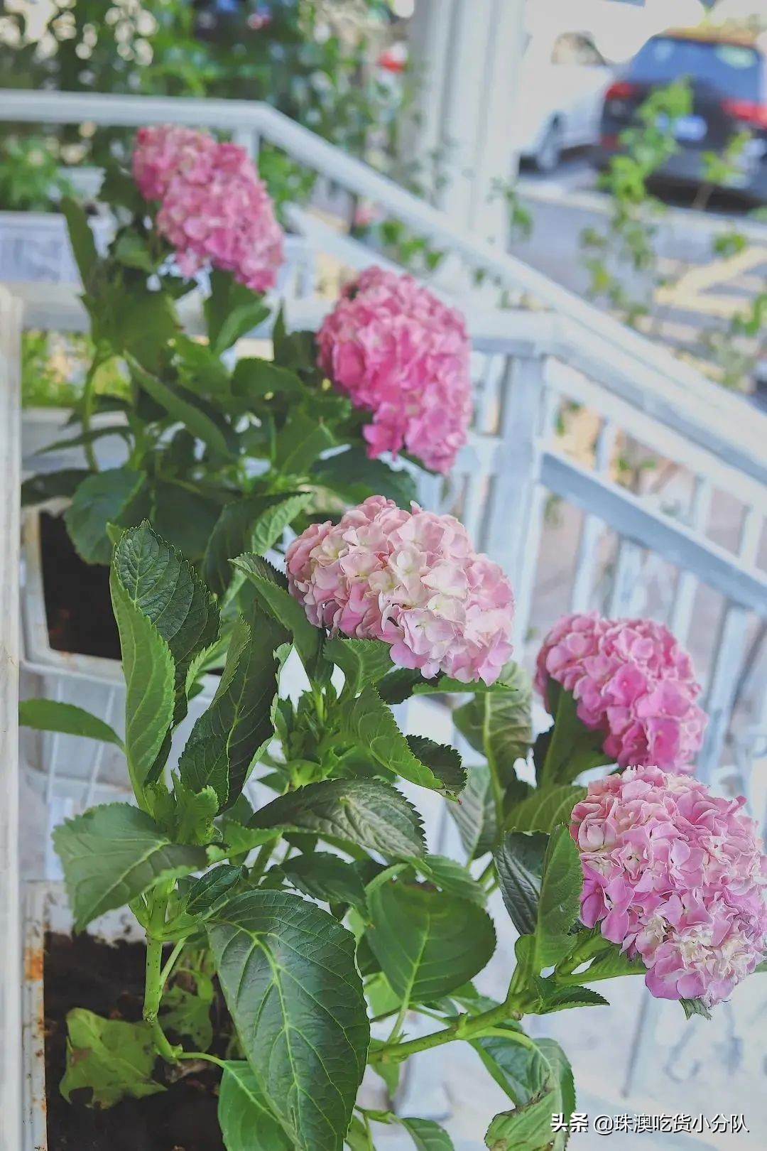 韩国极简工业风咖啡馆,广州韩国ins工业风咖啡店