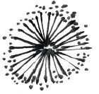 零基础梅花花朵入门画法,零基础学国画梅花入门步骤