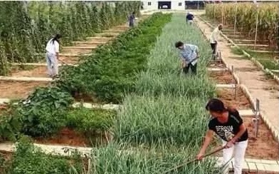 未来10大暴利行业创业点子,适合穷人的15个冷门创业项目生意