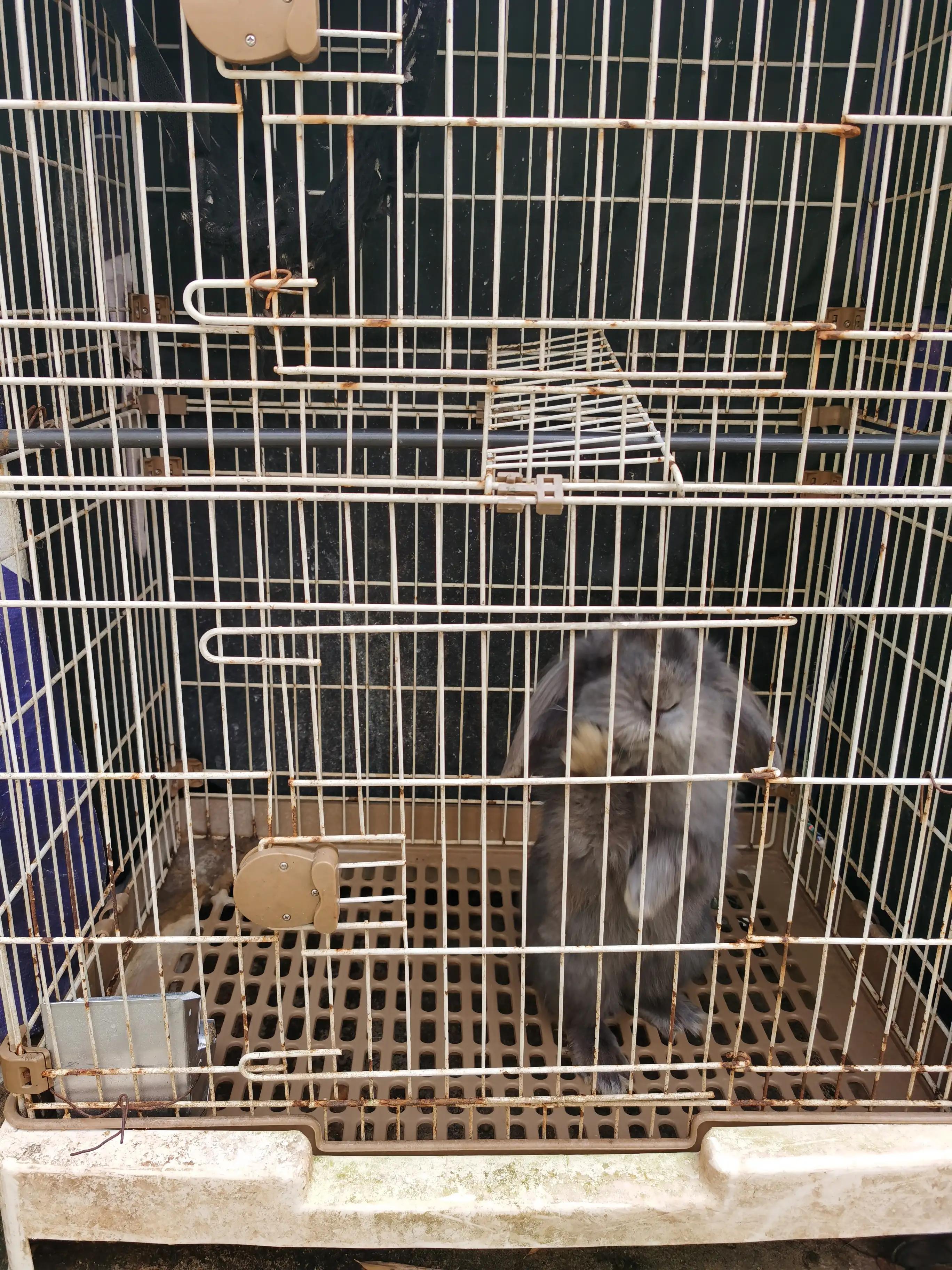 绿地铂瑞酒店沈阳遛娃,武汉汉南遛娃好去处