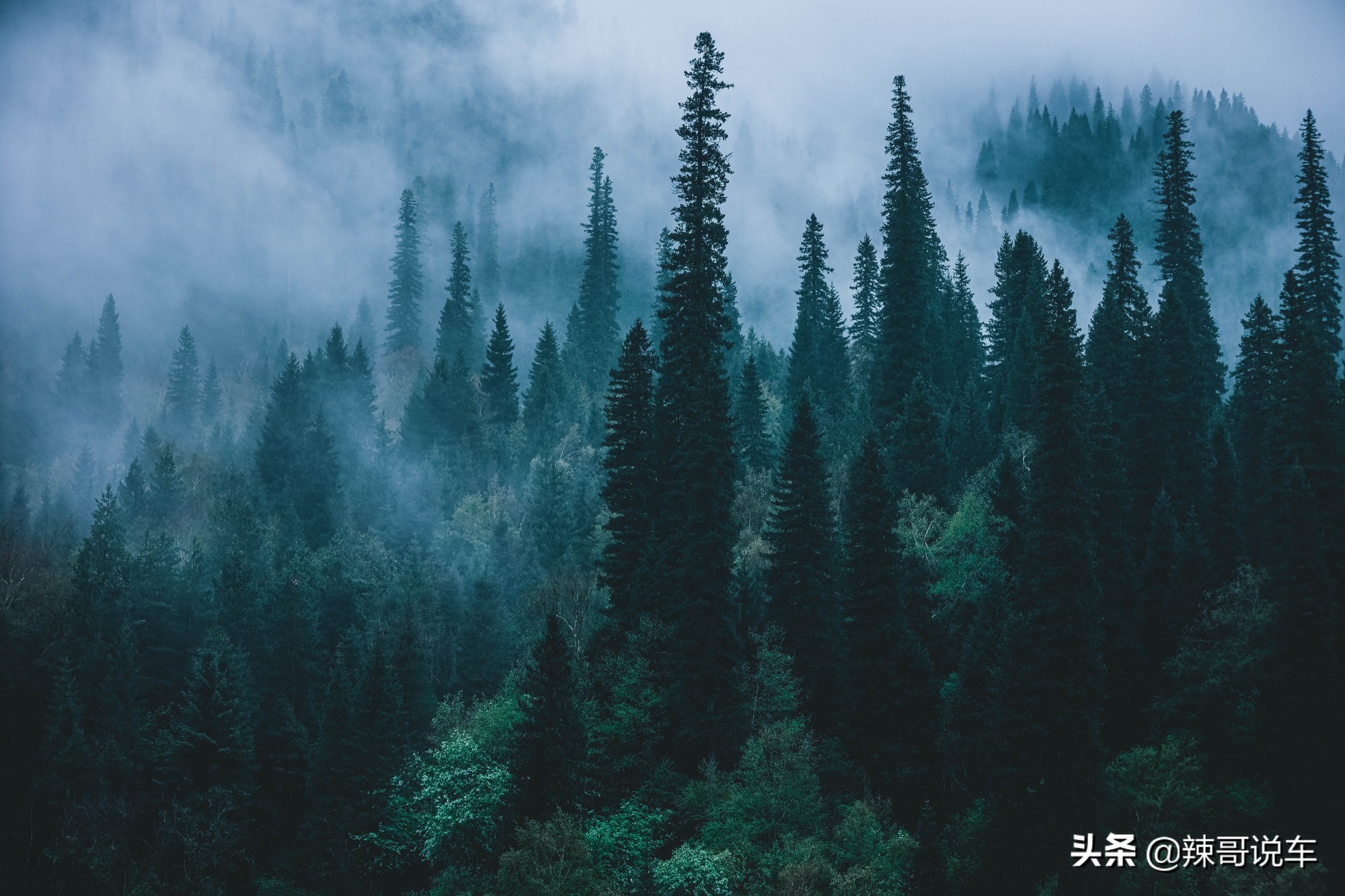 长安uni-kidd试驾视频,2024款长安unik最新测评