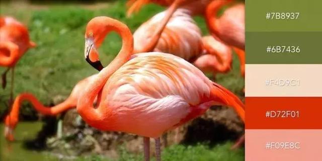 999张图片视频的卡点模板,服装设计素材收集与整理