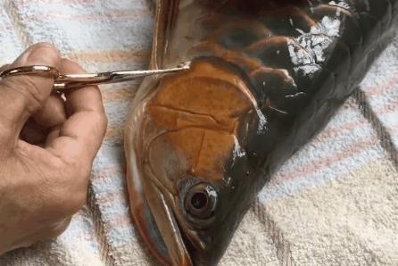 分享创富最佳方法,分享快速致富好项目