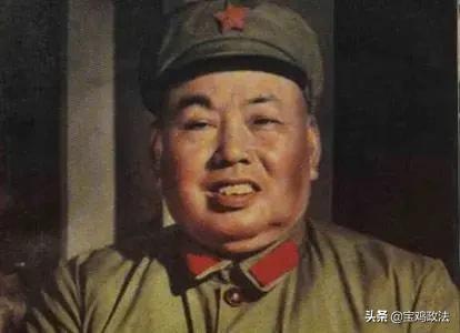 35年间*世友许**的四次回乡：三次成行，一次流产