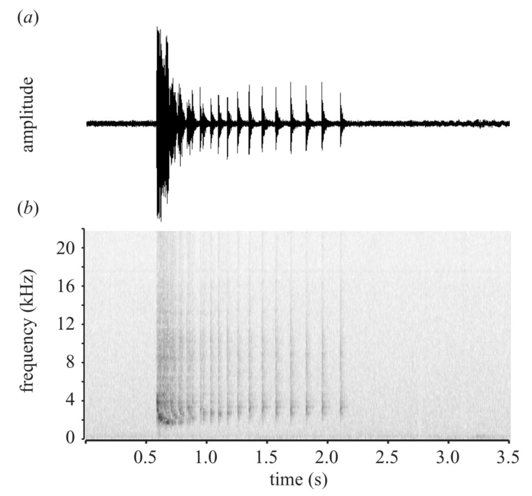 为什么海有蓝色和黄色,鱼是怎么放屁的