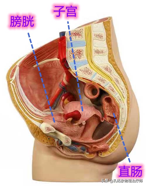 女性漏尿很严重是什么原因造成的,女性漏尿的原因及解决办法