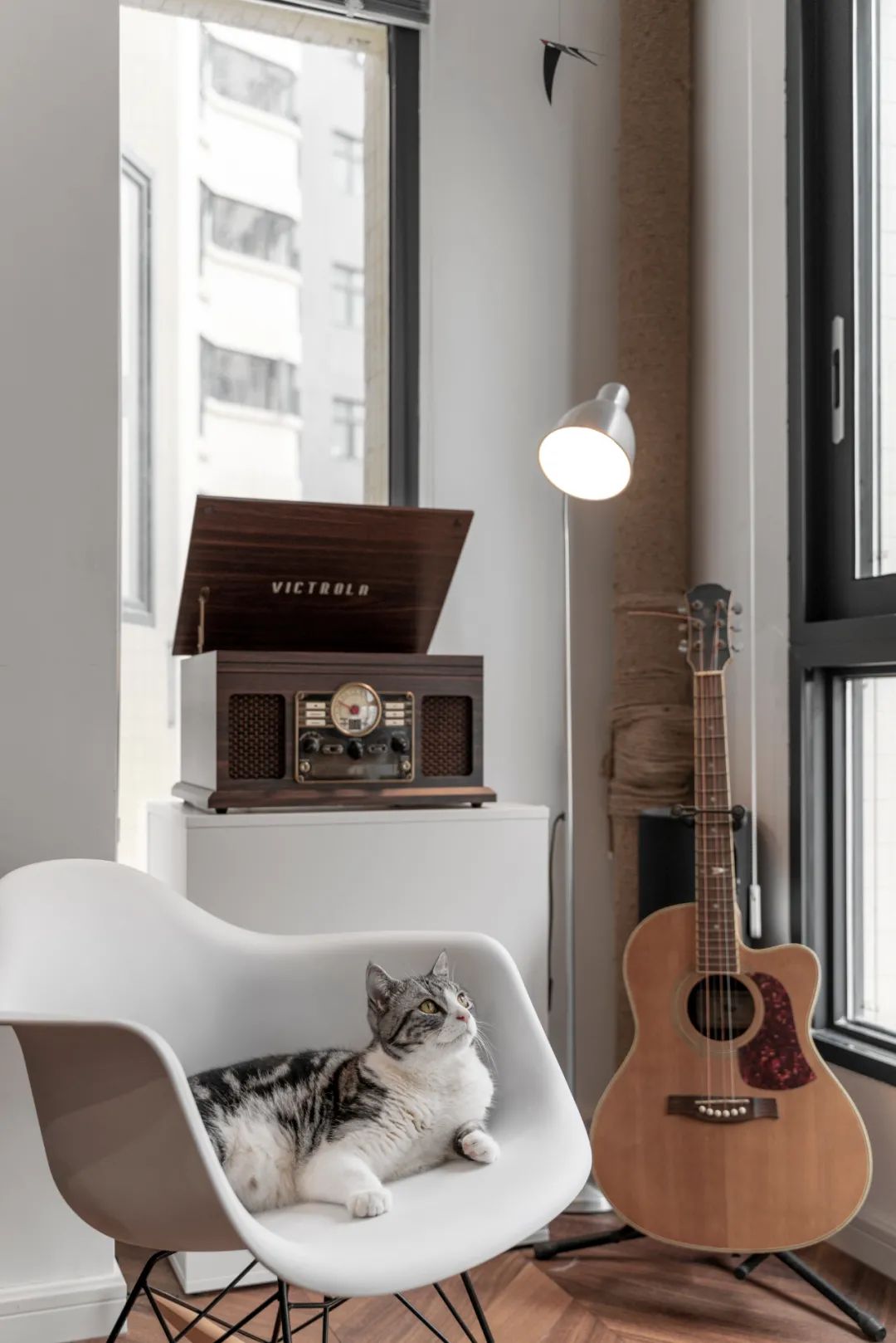 佛山女子与男友、男友妈弟住76㎡，养一猫还要工作室，装修绝了