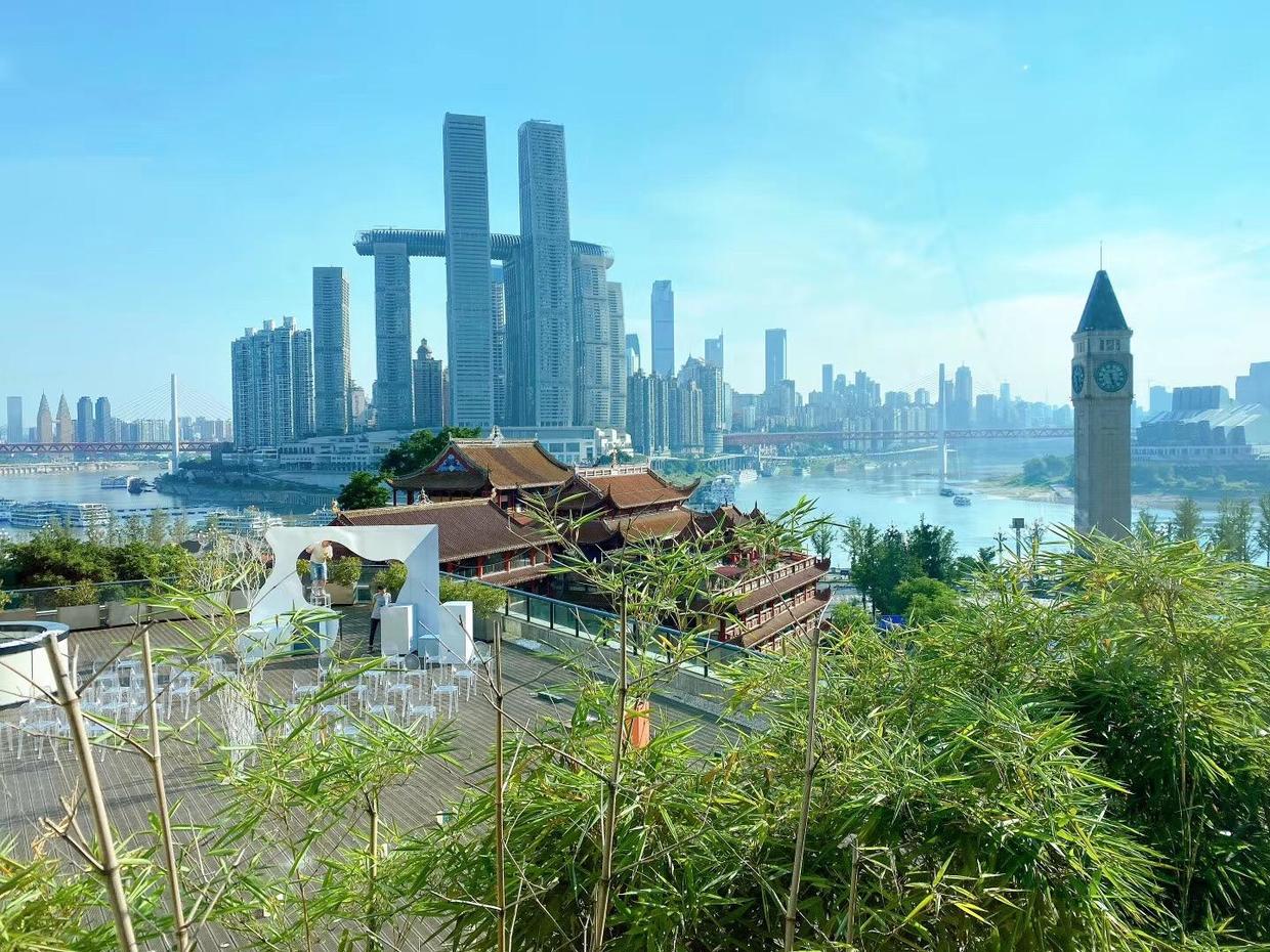 速领丨新西兰直播盛宴下的程府宴和汝肴送福利啦