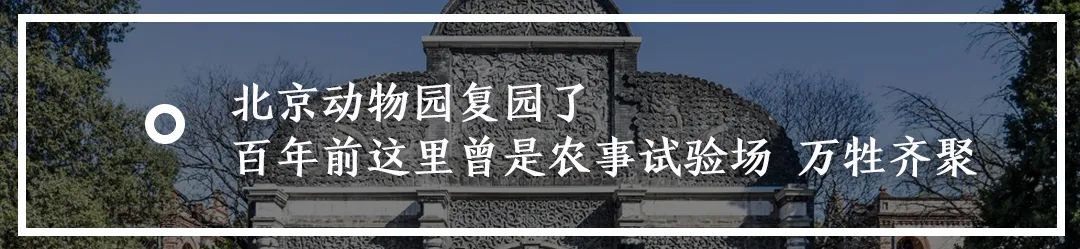 回回膏药、马应龙眼药...这些老北京回族医药老字号您知道几个？
